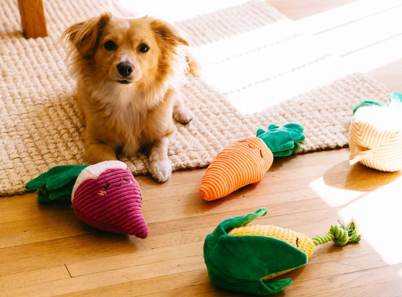Jouet Maïs avec corde