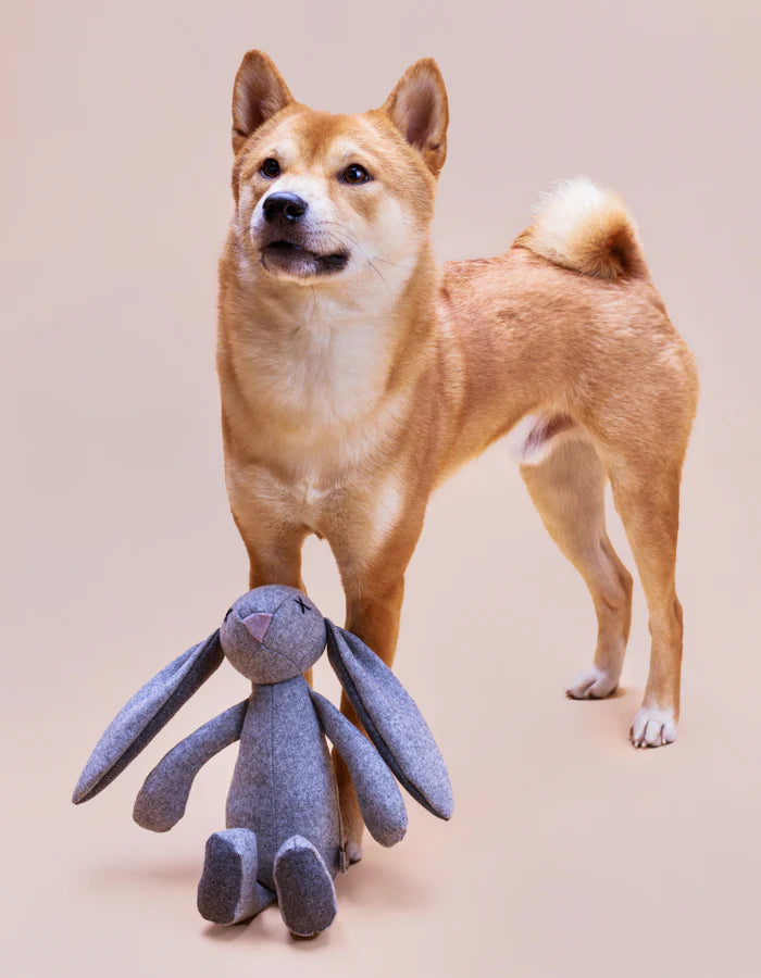 shiba-peluche-jouet