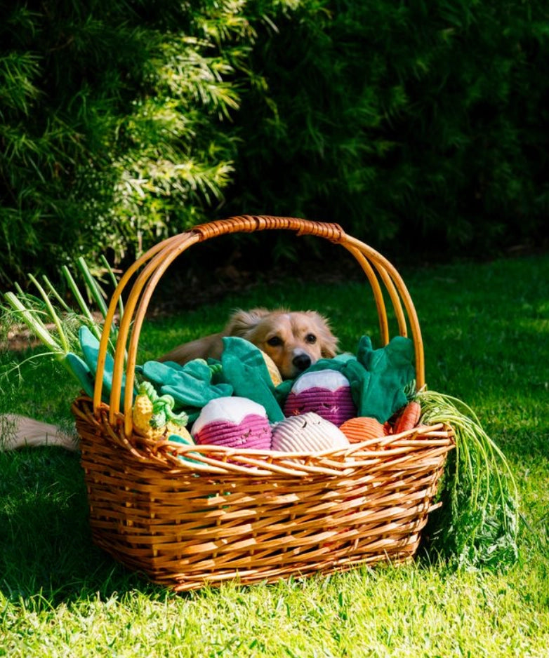 Jouet Maïs avec corde