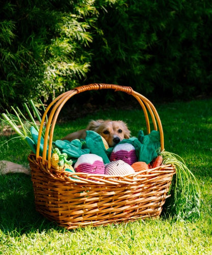 Jouet Maïs avec corde