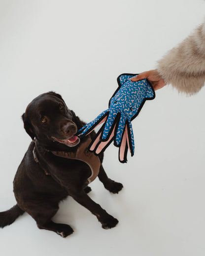 Jouet calamar résistant