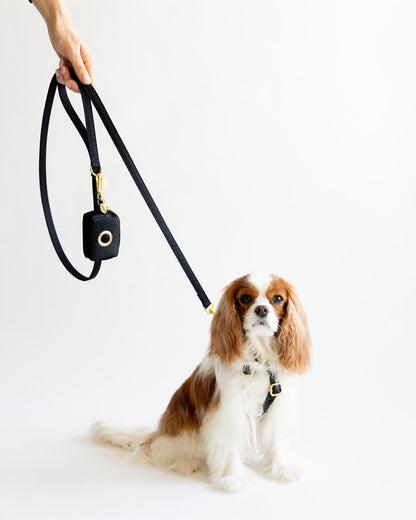 Chocolate corduroy leash 