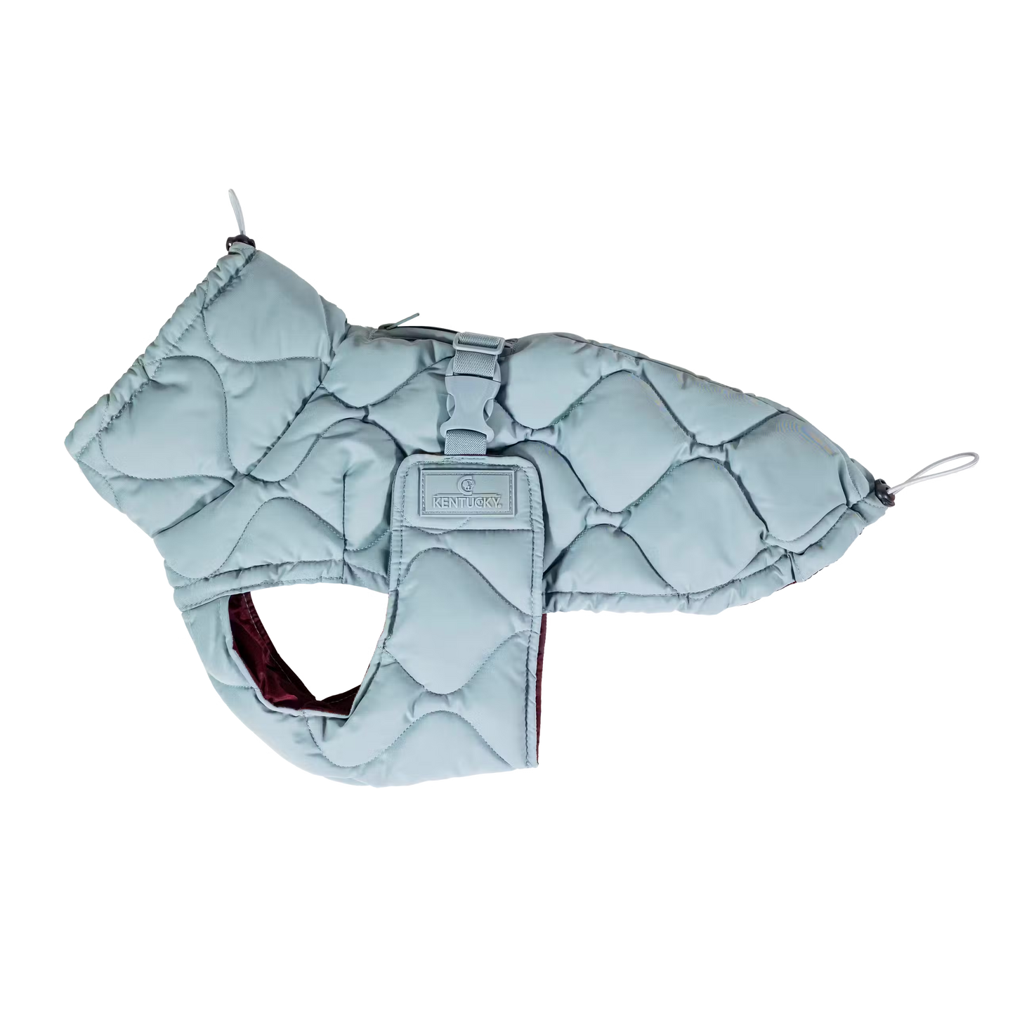 Doudoune pour chien Bleu