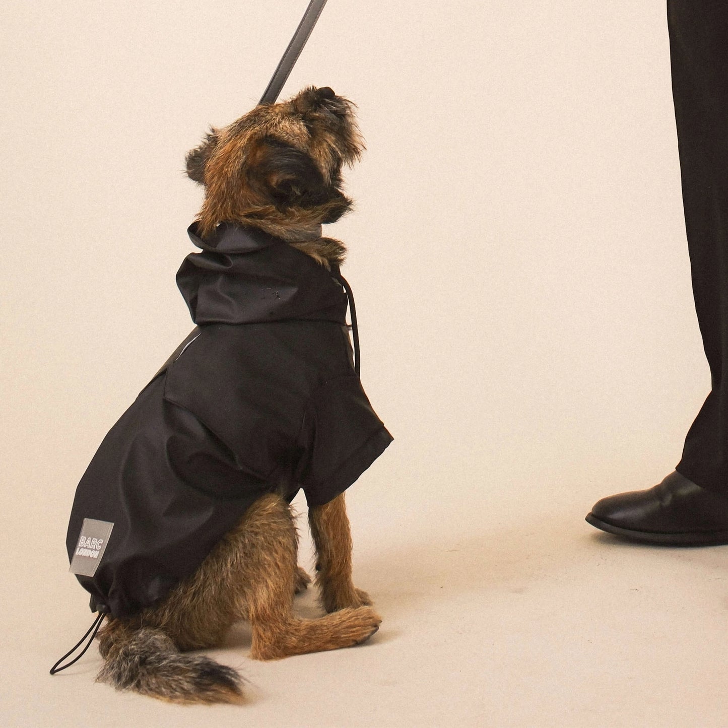Imperméable pour chien Noir