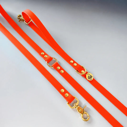 Laisse biothane multi positions Orange néon