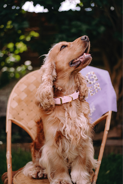 Multi-position leash - Pink