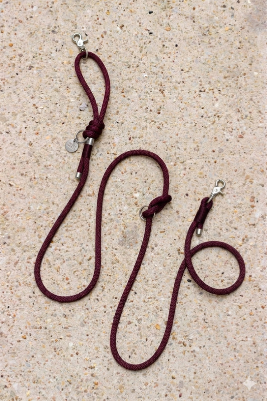 Hands-free saddle leash