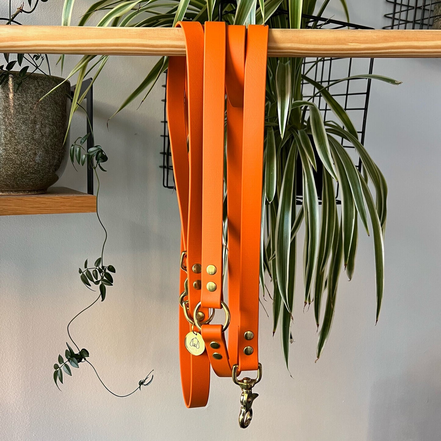 Multi-position leash - Orange