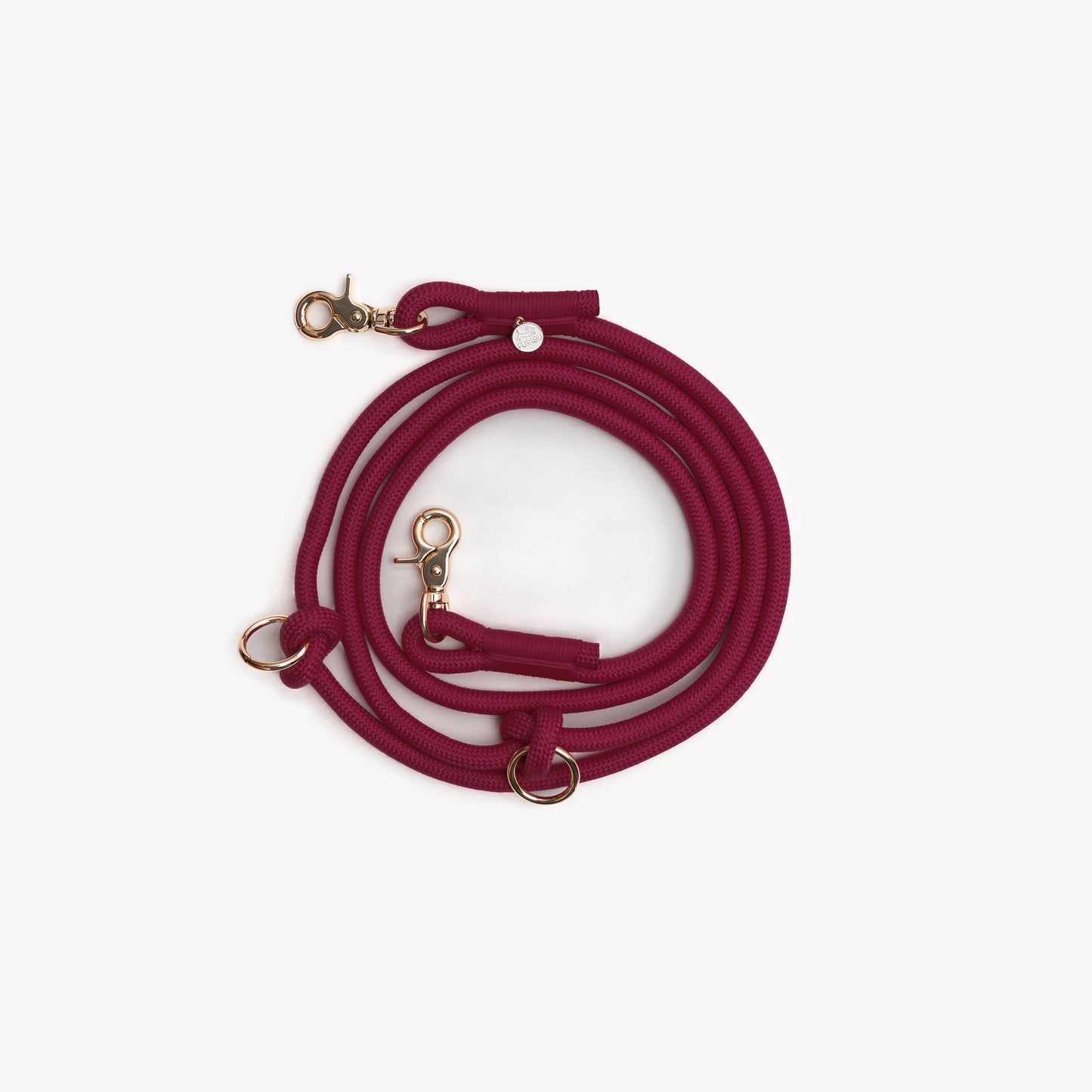 Laisse mains libres Bordeaux