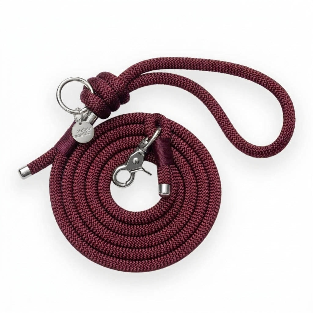 Laisse simple en corde Saddle