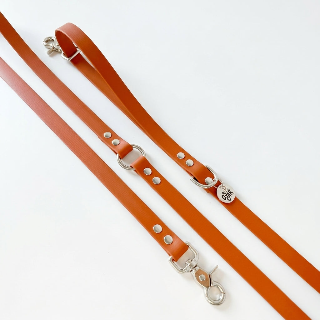 Laisse biothane multi positions Orange