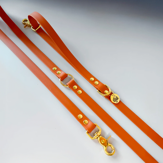 Laisse biothane multi positions Orange