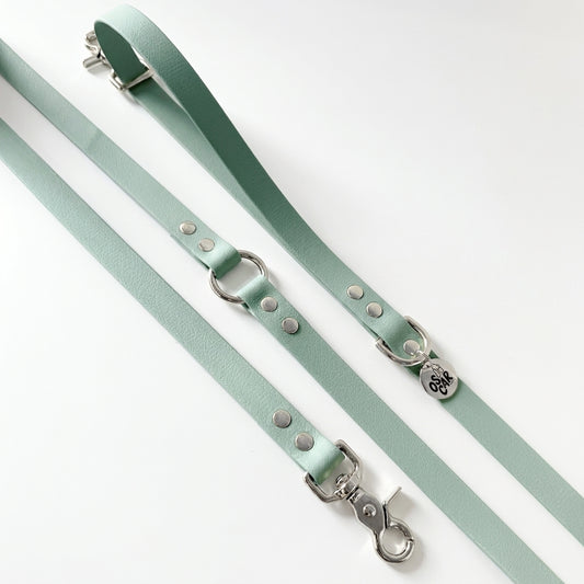 Biothane multi-position leash, sage