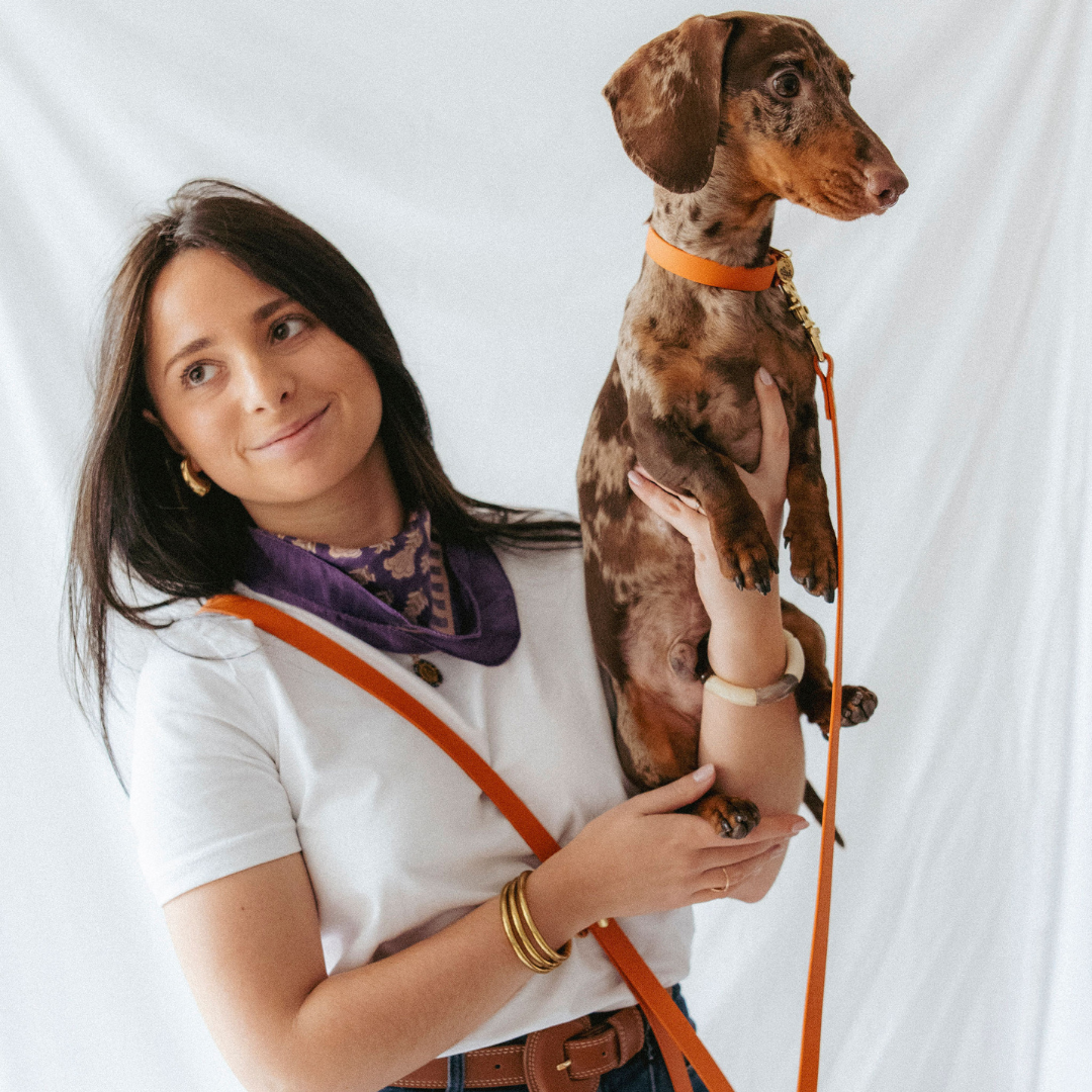 Multi-position leash - Orange