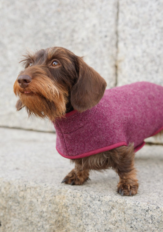 Manteau en laine Bordeaux pour chien