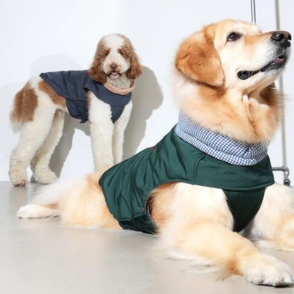 Manteau vert pour chien