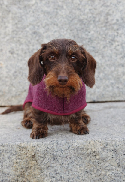 Manteau en laine Bordeaux pour chien