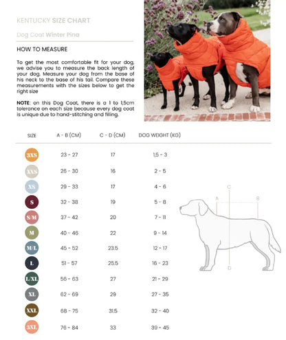 Doudoune pour chien Bleu