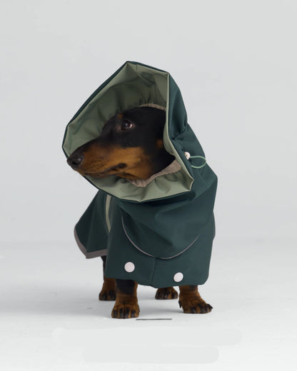 Imperméable Vert