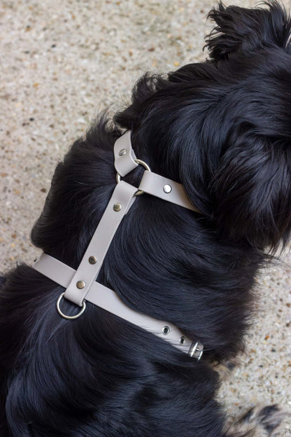 Harnais biothane Mist