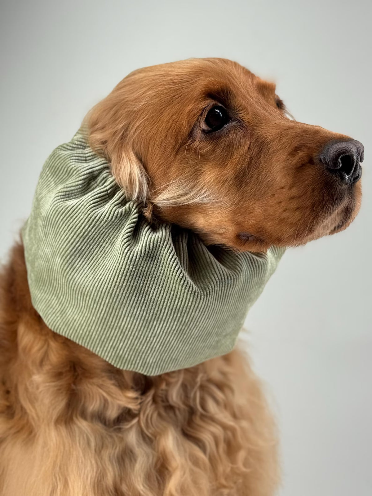 Snood velours côtelé Kaki