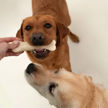 Smart Chew Collagène