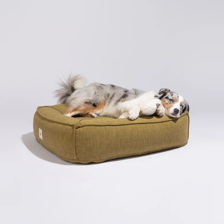 Panier confort - Frenchie lemongrass