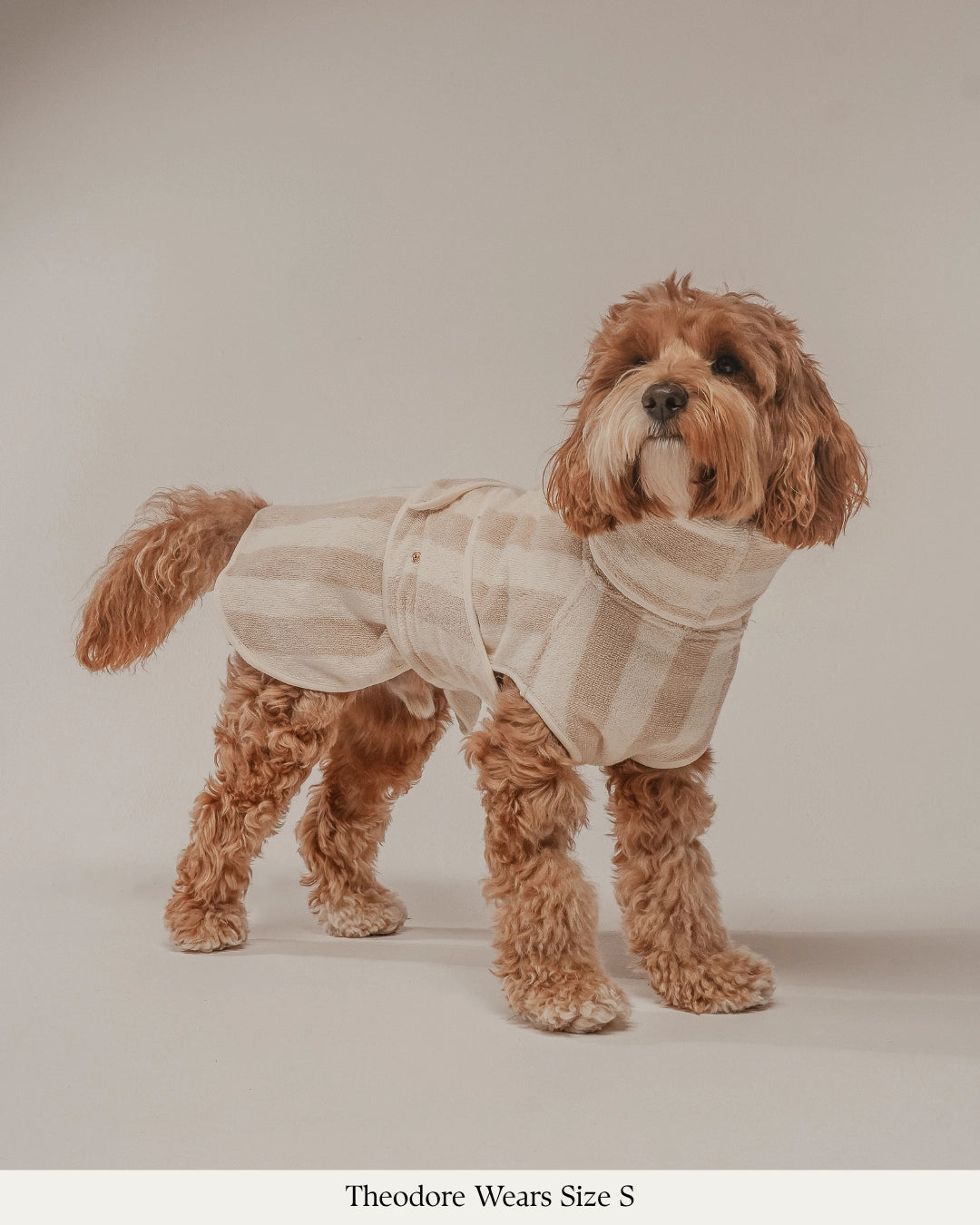 Peignoir pour chien à rayures beige