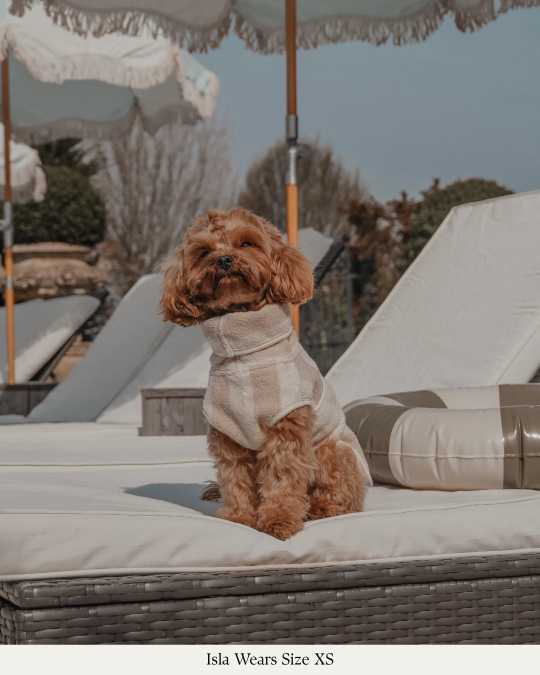 Peignoir pour chien à rayures beige