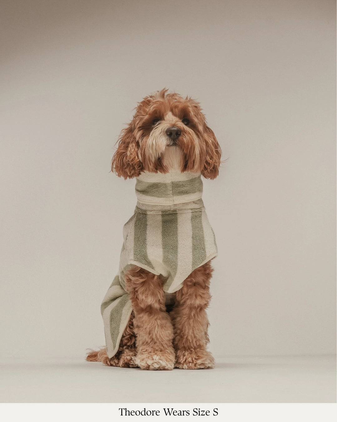Peignoir pour chien à rayures matcha