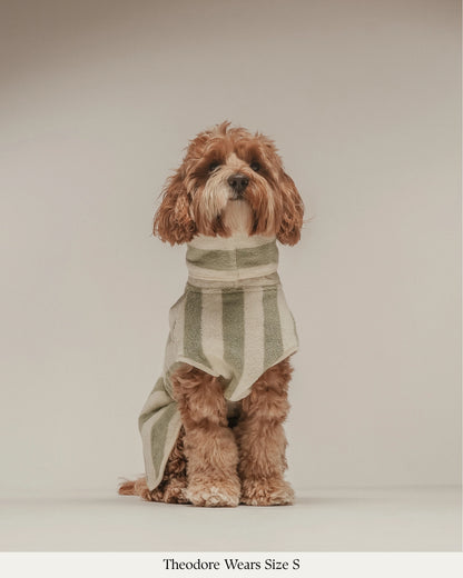 Peignoir pour chien à rayures matcha