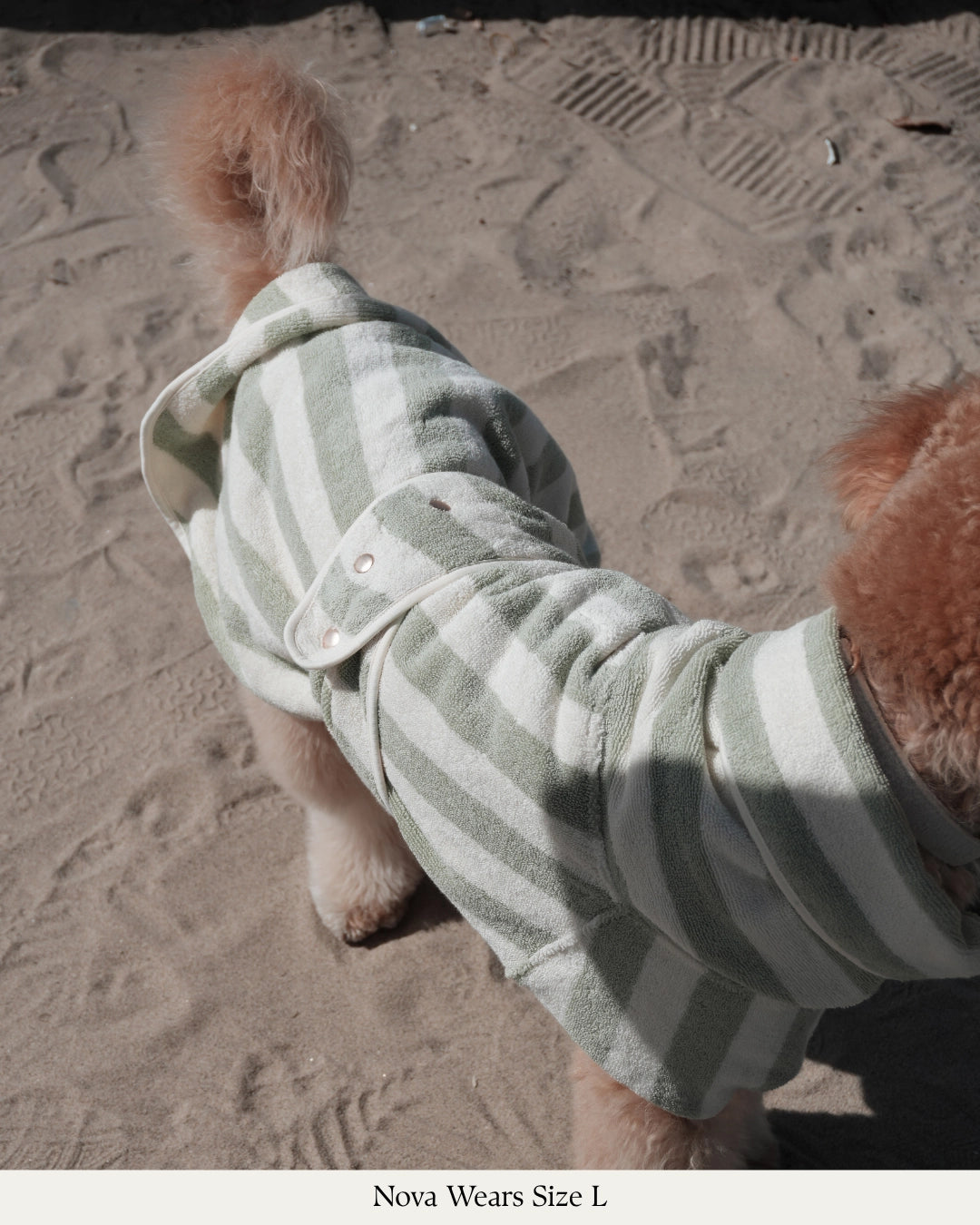 Peignoir pour chien à rayures matcha