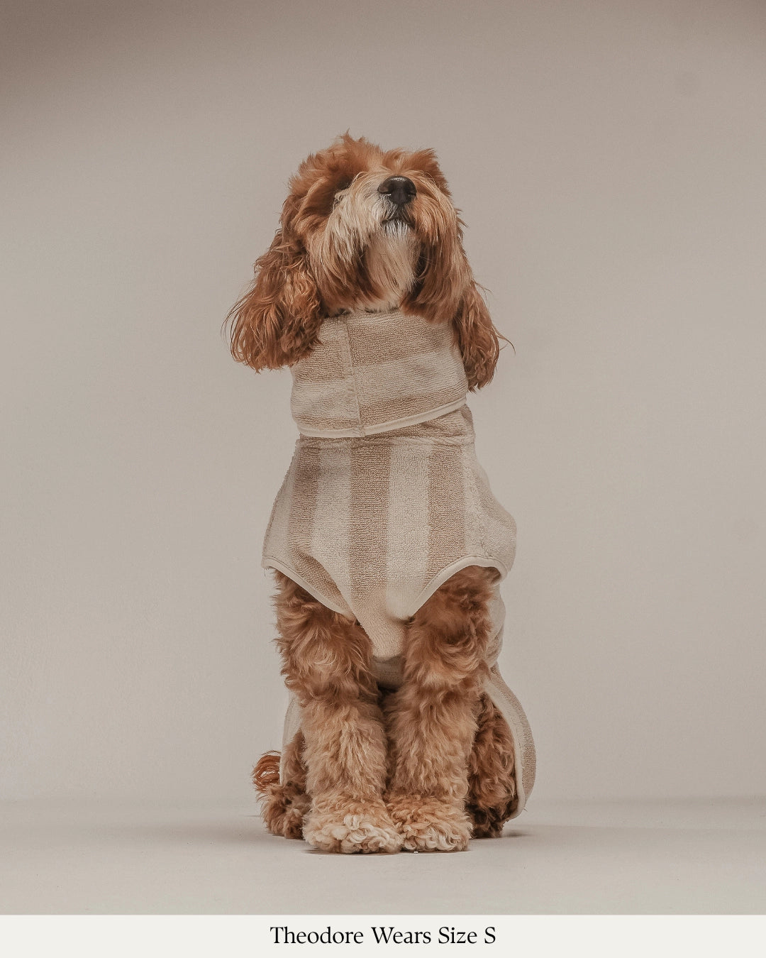 Peignoir pour chien à rayures beige