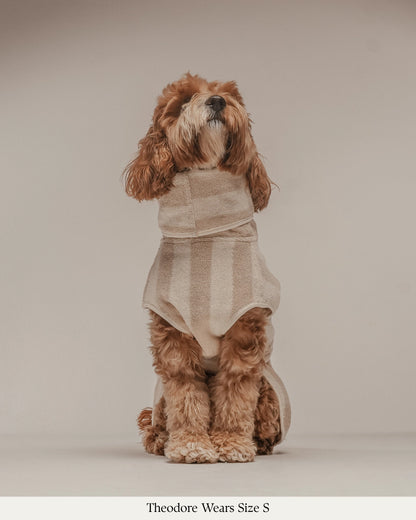 Peignoir pour chien à rayures beige