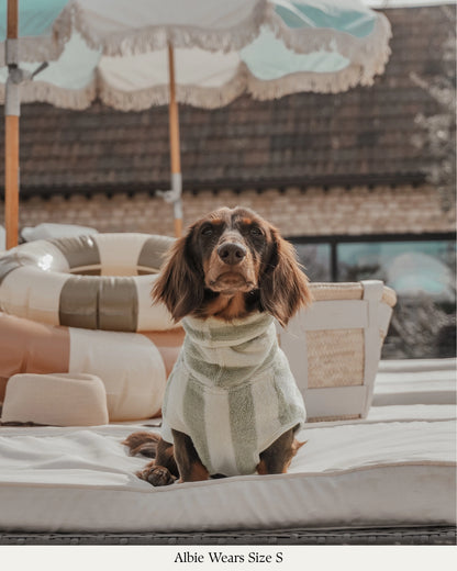 Peignoir pour chien à rayures matcha