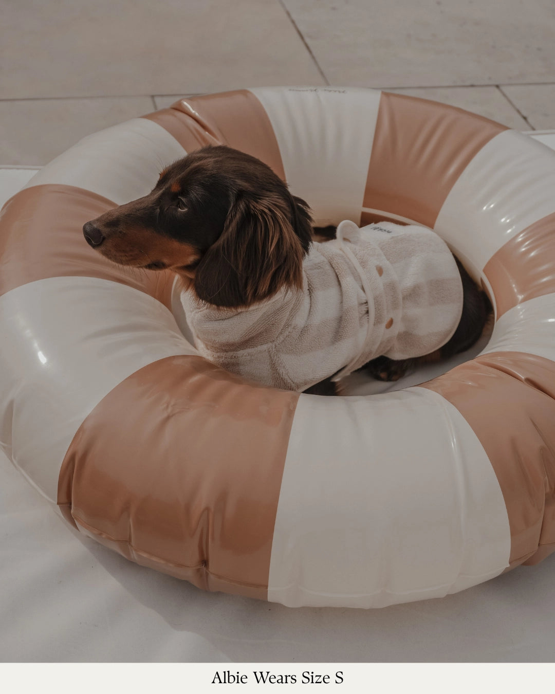 Peignoir pour chien à rayures beige