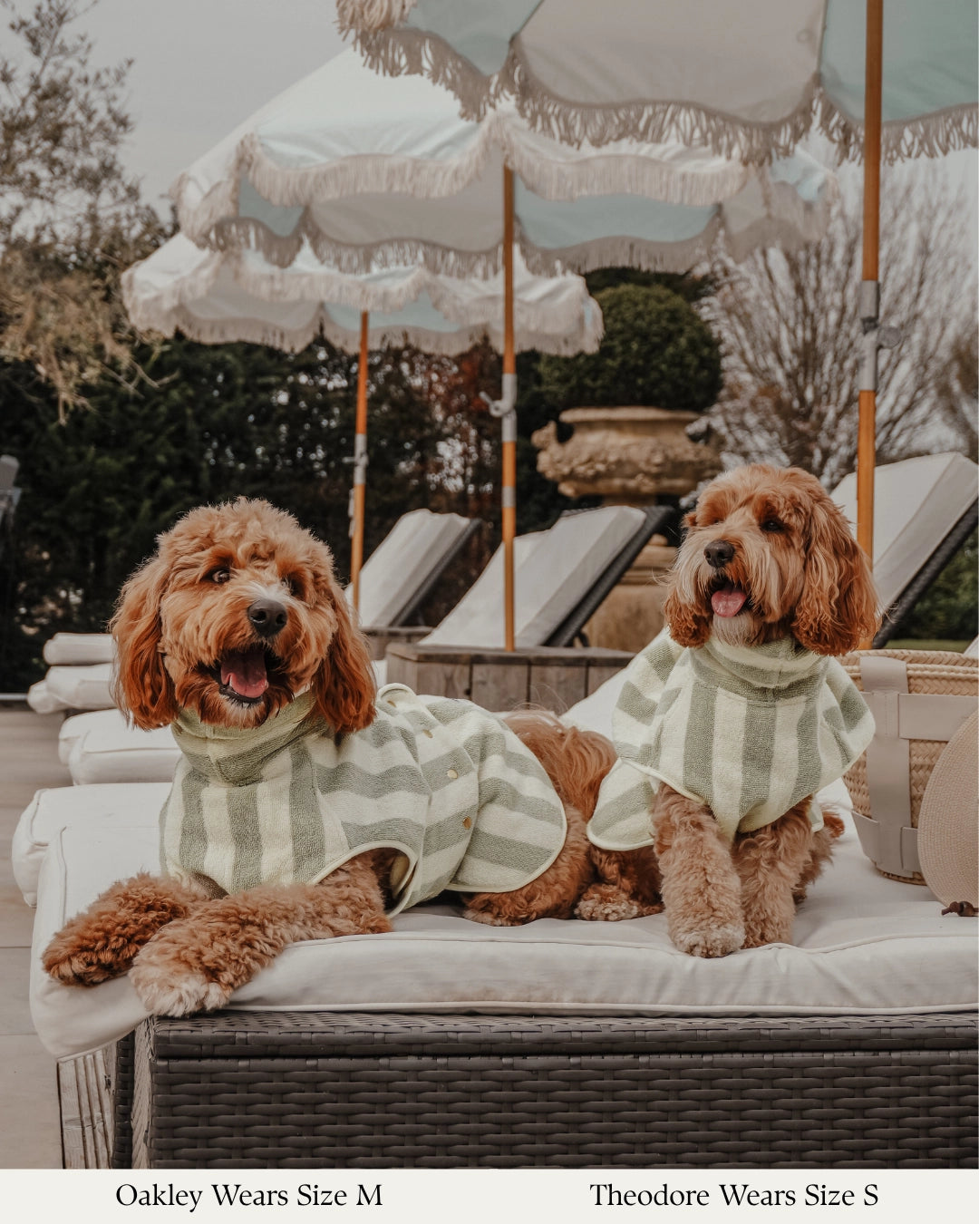 Peignoir pour chien à rayures matcha
