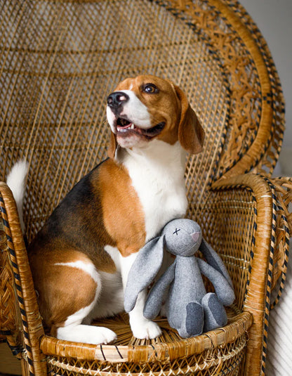 lillabel-peluche-beagle