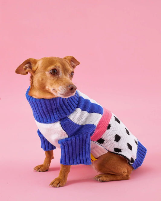 Polka Dot Pitaya Sweater