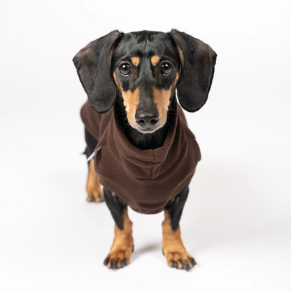 Pull polaire marron pour teckel