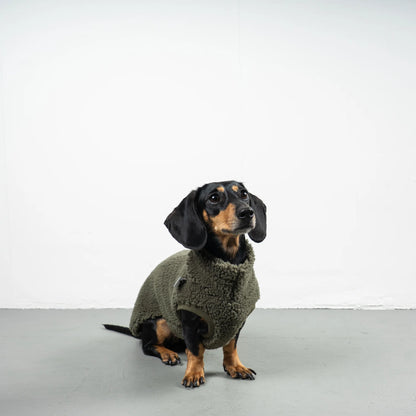 Pull polaire sherpa kaki pour teckel