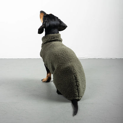 Pull polaire sherpa kaki pour teckel