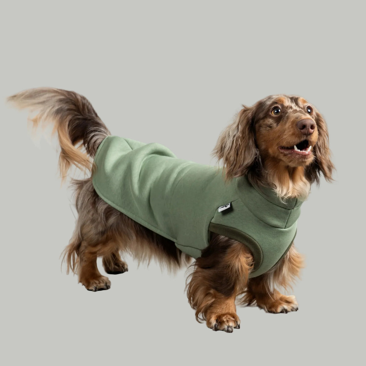 Pull vert doublé polaire pour teckel