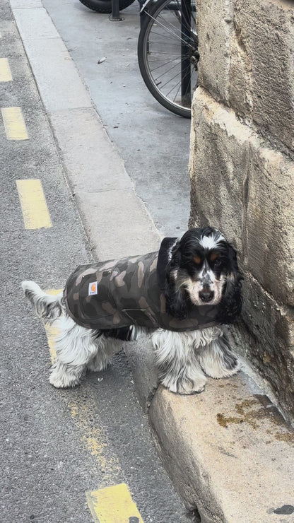 Manteau camouflage - Firm Duck Insulated Dog Chore Coat