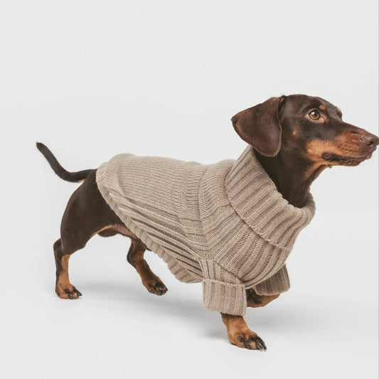 Pull laine et alpaga Beige