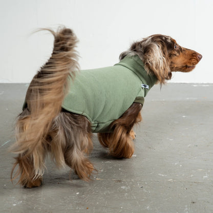 Pull vert doublé polaire pour teckel