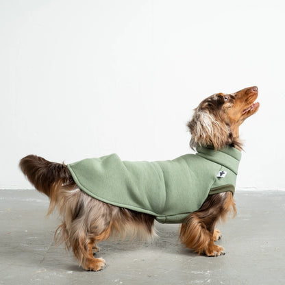 Pull vert doublé polaire pour teckel