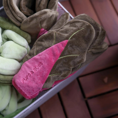 Jouet de fouille Blette