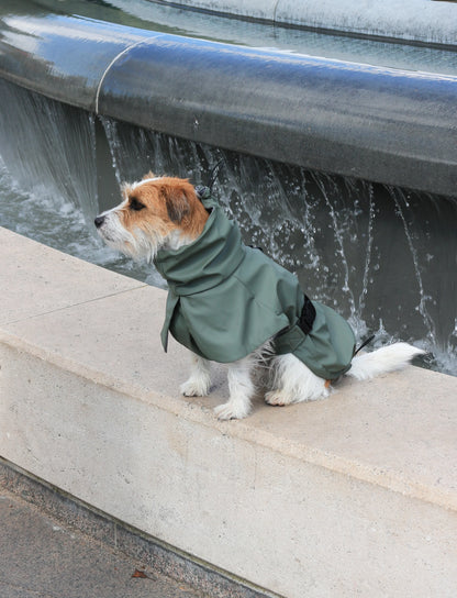 Green raincoat