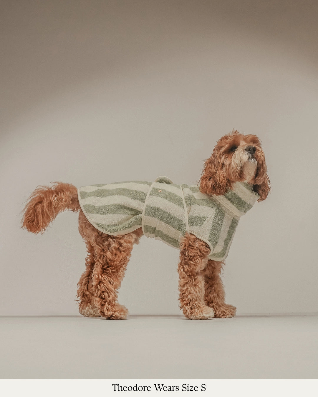 Peignoir pour chien à rayures matcha
